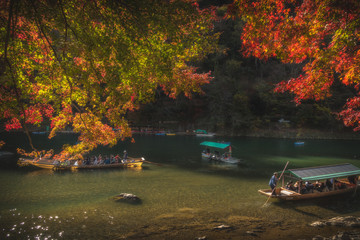 京都　-  嵐山　紅葉