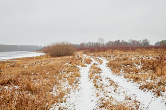Road in snow in a yellow field in a winter day