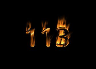 3D number 113 with flames black background