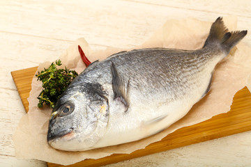 raw dorada fish