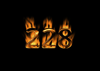 3D number 228 with flames black background