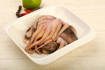Raw octopus