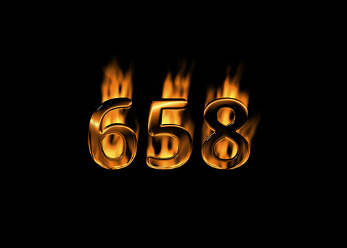 Afbeeldingen over 658 Blader in stockfoto's, vectoren en video's over