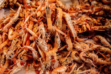 Seafood market, fresh catch exposed on ice counter, Venice