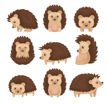 Hedgehog Cartoon Images – Browse 34,316 Stock Photos, Vectors, and Video |  Adobe Stock