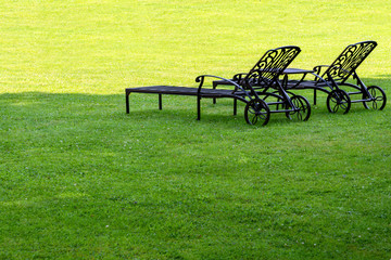 Two loungers are standing in a shady garden on a green lawn.