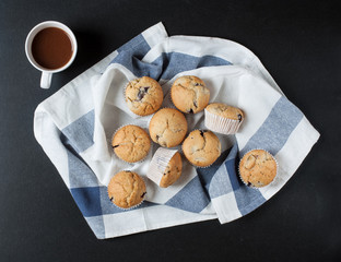 Blueberry muffins with cocoa on a black background