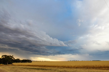 Fototapeta premium Incoming storm