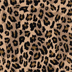 leopard seamless pattern design . vector illustration background