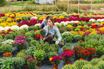 Working in greenhouse