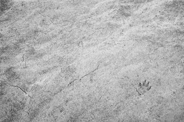 Sand texture. Top view