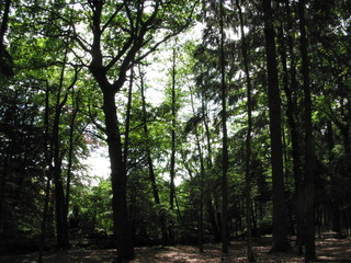 Fotosafari durch Ellerbek