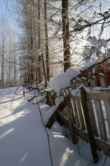 Fence in snowy scandinavian winter forest