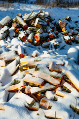 chopped wood under the snow