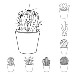 Vector design of cactus and pot logo. Collection of cactus and cacti vector icon for stock.