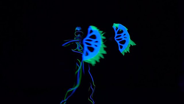 Dancer in glowing costume, dancing with two ultraviolet fans in her hands