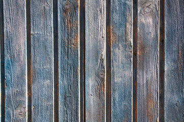 Wood surface texture