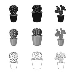 Vector design of cactus and pot icon. Set of cactus and cacti stock symbol for web.