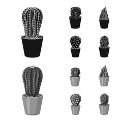 Vector illustration of cactus and pot symbol. Collection of cactus and cacti vector icon for stock.