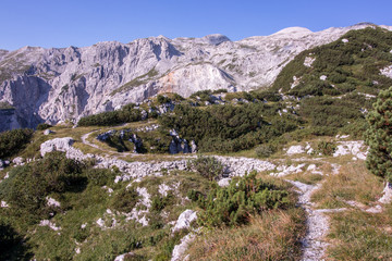 Fototapeta na wymiar wide mountain path from 1 world war