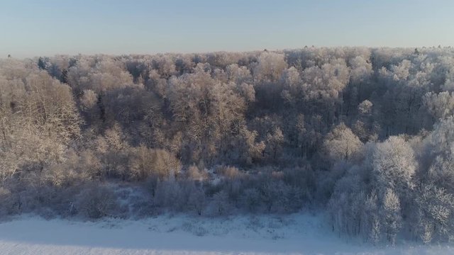 aerial view winter landscape forest covered snow, frost. Frozen branches with hoarfrost in winter forest on sunny day