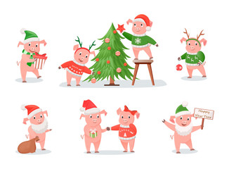 Pigs, Zodiac Symbol of New Year 2019, Christmas