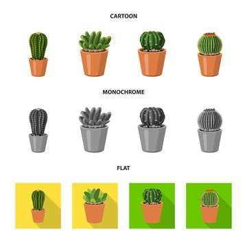 Vector design of cactus and pot icon. Collection of cactus and cacti stock symbol for web. © Svitlana