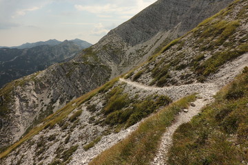 mountain trail in the morning