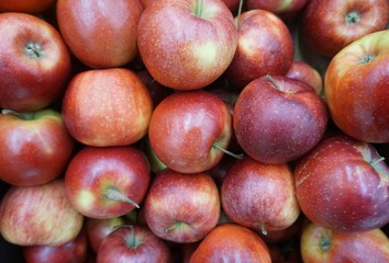 Fototapeta na wymiar beautiful red apples a lot.......
