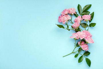 Pink rose flowers on blue background. Framework, flower composition. Flat lay. Top view. Copy space.