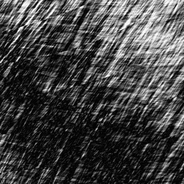 Webbed Shadows