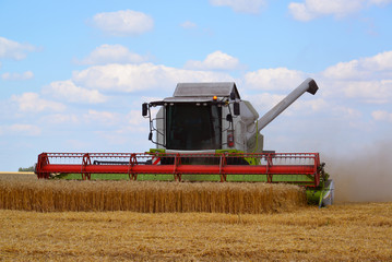 Fototapeta premium Beautiful harvester working in the field in Russia