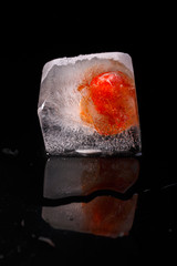 Eiswürfel taut auf
