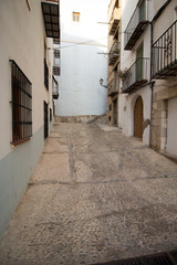 Typical town with its houses and streets