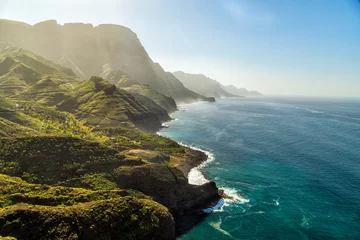 Fotobehang Kust Green hills and cliffs of Tamadaba Natural Park on the coast of the ocean near Agaete, Gran Canaria island, Spain  © hungry_herbivore