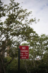 Bells are ringing, people singing
Rice is throwin', flower bringing