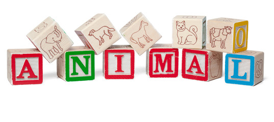 Colorful alphabet blocks. Word animal isolated on white background