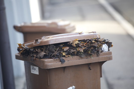 Biotonne, braune Tonne mit Herbstlaub, organischer Abfall,  Garten und K&uuml;chenabf&auml;lle, close-up.
