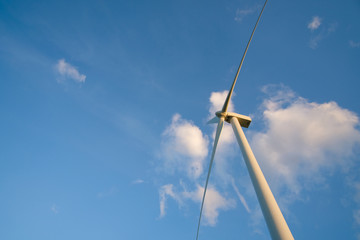 Fototapeta premium Wind turbine farm or windmill on blue sky. Turbine green energy electricity or wind turbine in a green field - Energy Production with clean and Renewable Energy. Phan Rang, Vietnam