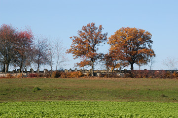 Jüdischer Friedhof bei Krautheim