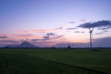 Fototapeta na wymiar Wind turbine farm or windmill on golden sunset sky in summer day. High-quality stock photo image of wind turbine or windmill for clean energy concept. Energy Production with clean and Renewable Energy