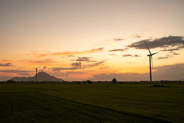 Fototapeta na wymiar Wind turbine farm or windmill on golden sunset sky in summer day. High-quality stock photo image of wind turbine or windmill for clean energy concept. Energy Production with clean and Renewable Energy