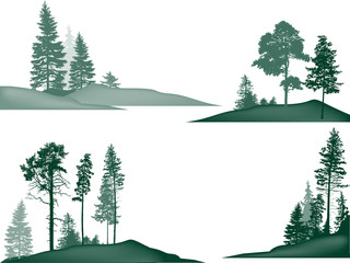 set of four group of green pine and fir trees