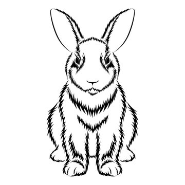 Black hare. Vector image on  white background.