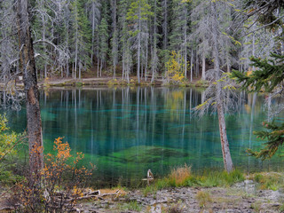 カンディアンロッキー