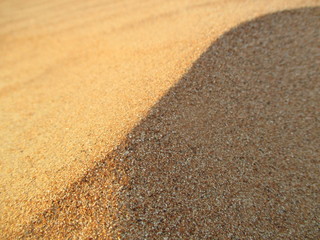 Fototapeta na wymiar Desert Golden Sand Landscape
