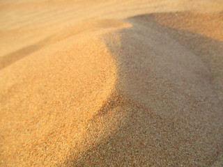 Desert Golden Sand Landscape