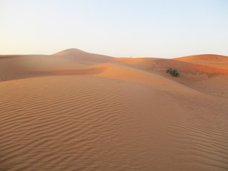 Desert Golden Sand Landscape