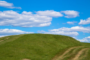 green field and blue sky