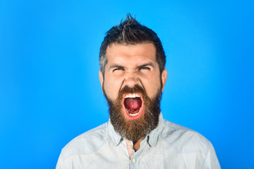 Shout man with long beard and mustache. Hipster in white shirt. Screaming bearded man in casual clothes. Fashion model with stylish hair. Barber fashion and beauty. Fashionable bearded male. Portrait.